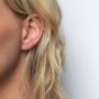 nascontentliveswappairwp-contentuploads202607ciamesut.jpg