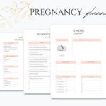 nascontentliveswappairwp-contentuploads202607xmcosugq.jpg